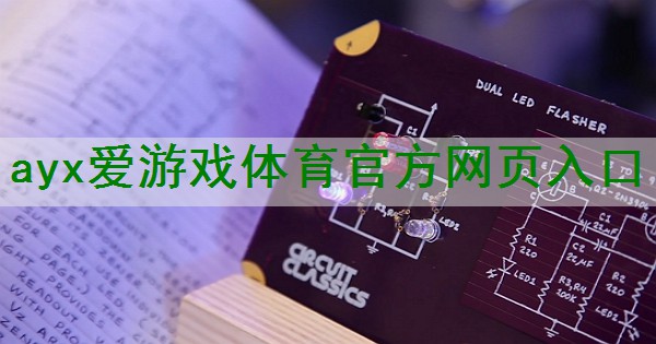 提升品质、享受生活:电子管小功率放大器的功能与用途 提升品质、享受生活:电子管小功率放大器的功能与用途